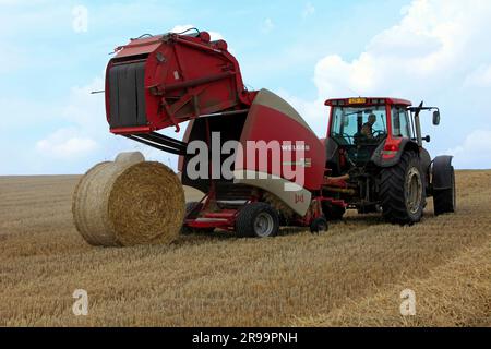 Lavori agricoli. Il raccolto in Lorena. Regione Grand Est, Francia Foto Stock