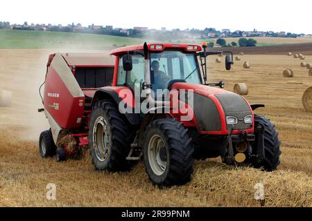 Lavori agricoli. Il raccolto in Lorena. Regione Grand Est, Francia Foto Stock