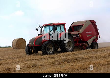 Lavori agricoli. Il raccolto in Lorena. Regione Grand Est, Francia Foto Stock