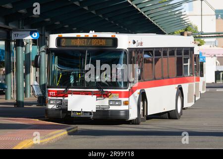 Salem, OREGON, USA - 13 giugno 2023; autobus locale Salem rosso e bianco Cherriots alla stazione centrale degli autobus Foto Stock