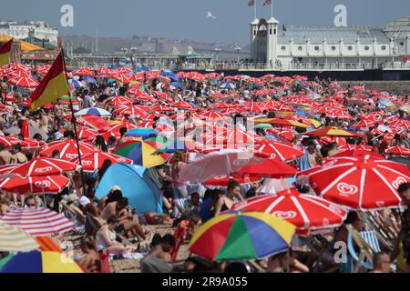 Brighton Beach è stata un'alveare di attività questo fine settimana, poiché le temperature brucianti hanno raggiunto i 24 °C all'ora di pranzo, attirando orde di persone in cerca di sole sulle sue coste. L'invitante mare, con la sua temperatura di raffreddamento di 17,2 °C, ha fornito una tregua tanto necessaria dal calore. Foto Stock