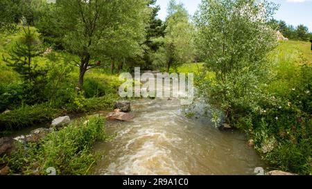 Diretta streaming Foto Stock