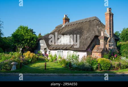 Manor Cottage, un tradizionale cottage britannico in selce dal tetto di paglia a Rustington, West Sussex, Inghilterra, Regno Unito. Foto Stock