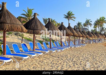 Lettini sotto le foglie di palma secche, ombreggiature di sole sulla spiaggia Riviera Maya vicino ad Akumal, sul sentiero Akumal, Quintana Roo, la penisola dello Yucatan, Messico. Foto Stock