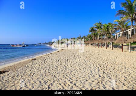 Lettini sotto le foglie di palma secche, ombreggiature di sole sulla spiaggia Riviera Maya vicino ad Akumal, sul sentiero Akumal, Quintana Roo, la penisola dello Yucatan, Messico. Foto Stock