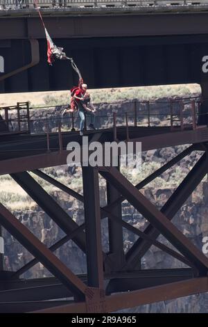 Due persone fanno un salto in tandem dal Perrine Bridge a Twin Falls, Idaho. Foto Stock