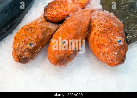 Pesce rosso su ghiaccio in vendita alla Boqueria di Barcellona Foto Stock