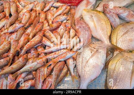 Pesce fresco in un mercato di Palermo, Sicilia Foto Stock