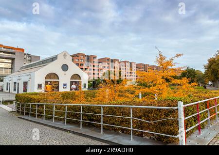 Maastricht, Olanda - 16 ottobre 2021: De Bordenhal Toneelgroep Maastricht, teatro indipendente e caffetteria-ristorante nel centro Ceramique, Maastrich Foto Stock