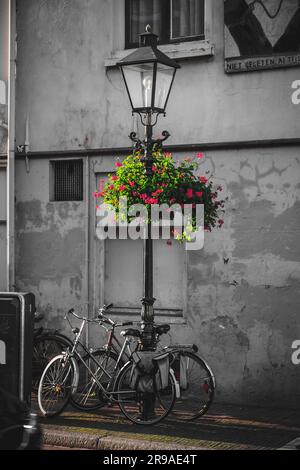 Utrecht, NL - 9 ottobre 2021: Lanterna ornata con fiori di geranio, dettaglio di decorazione stradale nella città di Utrecht, Paesi Bassi. Foto Stock