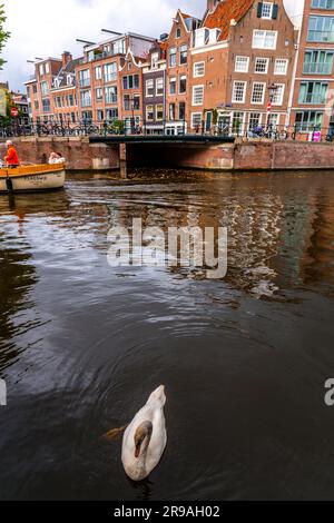 Amsterdam, Paesi Bassi - 14 ottobre 2021: Canali e tipica architettura olandese ad Amsterdam, la capitale dei Paesi Bassi. Amsterdam è una di queste Foto Stock