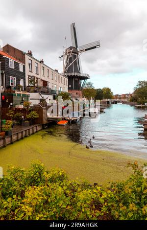 Amsterdam, Paesi Bassi - 14 ottobre 2021: Molen de Adriaan o Adrian Windmills ad Haarlem, la capitale della provincia dell'Olanda settentrionale, anche a p Foto Stock