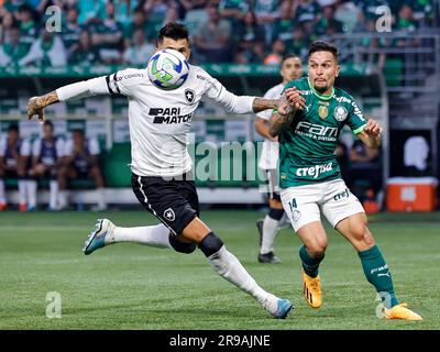 San Paolo, Brasile. 25 giugno 2023. Partita tra Palmeiras e Botafogo per la dodicesima prova del Campionato brasiliano 2023, ad Allianz Parque, domenica pomeriggio 25. Adriana Spaca/SPP (Adriana Spaca/SPP) credito: SPP Sport Press Photo. /Alamy Live News Foto Stock