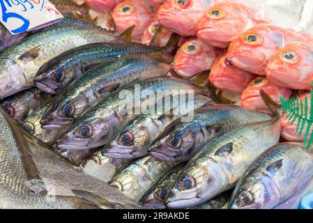 Pesce fresco in vendita in un mercato di Madrid Foto Stock