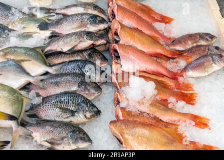 Pesce fresco in vendita in un mercato di Londra, Gran Bretagna Foto Stock