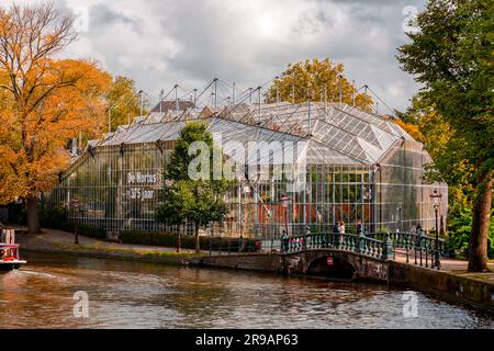 Amsterdam, NL - 11 ottobre 2021: L'Hortus Botanicus è un giardino botanico situato nel quartiere Plantage di Amsterdam, nei Paesi Bassi. E' uno dei paesi del mondo Foto Stock