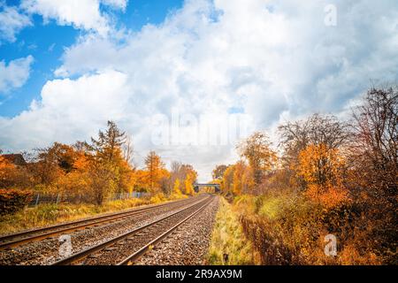 Binari ferroviari che attraversano un colorato paesaggio autunnale con con alberi nei colori giallo e arancio in autunno Foto Stock