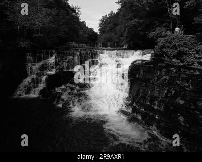 Uno scatto in scala di grigi di una splendida cascata circondata da alberi Foto Stock