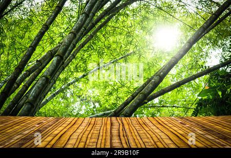 Stadio di bambù in un verde foresta pluviale tropicale Foto Stock