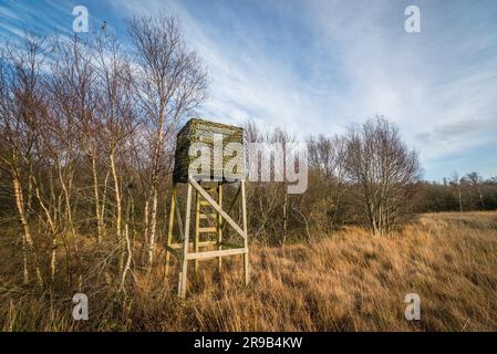 La torre della caccia con una scala a pioli in autunno la natura Foto Stock