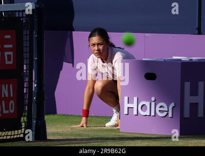 25 giugno 2023; Cinch Championships, Queens Club, West Kensington, Londra, Inghilterra: Cinch Championships Queens Club, 7° giorno; Ballgirl si concentra sul pallone durante la finale di doppio in sedia a rotelle tra Alfie Hewett (GBR) &amp; Gordon Reid (GBR) contro Joachim Gerard (BEL) &amp; Stephane Houdet (fra) Foto Stock