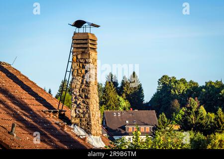 Il vecchio camino con una scala su un tetto al sole del mattino Foto Stock