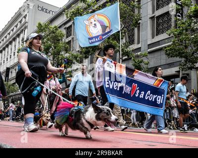 San Francisco, Stati Uniti. 25 giugno 2023. I partecipanti marciano su Market Street nella 53a parata annuale del San Francisco Pride a San Francisco domenica 25 giugno 2023. Hundrerds di migliaia si sono rivelati a marciare o guardare. Foto di Terry Schmitt Credit: UPI/Alamy Live News Foto Stock