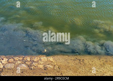 Inquinamento delle acque del Danubio a Novi Sad. Scarico diretto delle acque reflue nel fiume. Messa a fuoco selettiva. Foto Stock