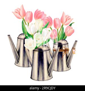 Set di lattine in metallo con disegni ad acquerello e bellissimi mazzi di fiori di tulipano bianchi e rosa su sfondo bianco. Perfetto per adesivo, logo Foto Stock