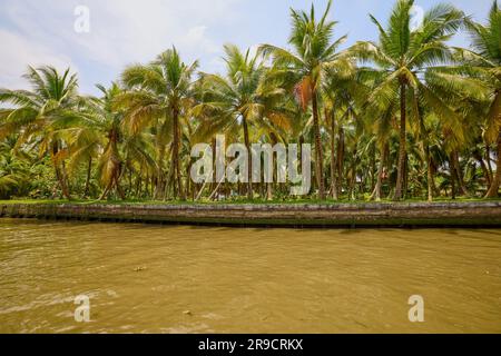 Damnoen Saduak - Tailandia 23 maggio 2023. Sui canali del mercato galleggiante di Damnoen Saduak in barca. Foto Stock