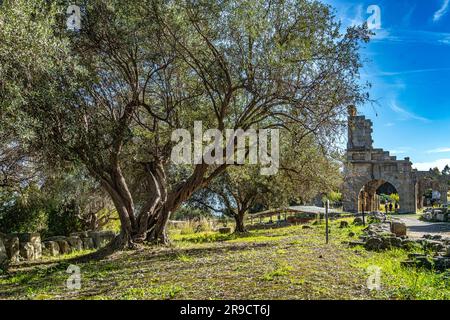 Parco archeologico greco-romano di Tindari. Rovine dell'edificio del Gymnasium, o basilica in epoca romana. Patti, Sicilia, Italia, Europa Foto Stock