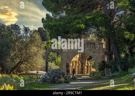 Parco archeologico greco-romano di Tindari. Rovine dell'edificio del Gymnasium, o basilica in epoca romana. Patti, Sicilia, Italia, Europa Foto Stock