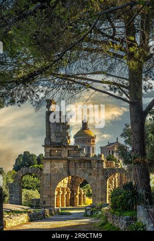 Parco archeologico greco-romano di Tindari. Rovine dell'edificio del Gymnasium, o basilica in epoca romana. Patti, Sicilia, Italia, Europa Foto Stock