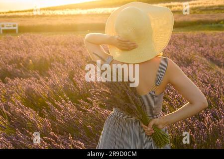 Donna in un cappello di paglia che si gode la vista di un campo di lavanda alla luce del tramonto. Foto Stock