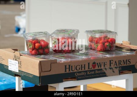 Ascot, Berkshire, Regno Unito. 23 giugno 2023. Fragole al pronto al Royal Ascot. Credito: Maureen McLean/Alamy Foto Stock