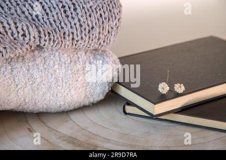 Dettaglio di arredo organico e accogliente, in toni pastello e autunnali, prevalentemente legno e tessuti. Splendido concetto di benessere e tranquillità Foto Stock
