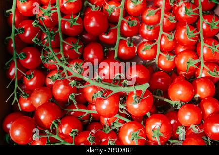 Pomodori ciliegini venduti sul mercato verde di strada Foto Stock