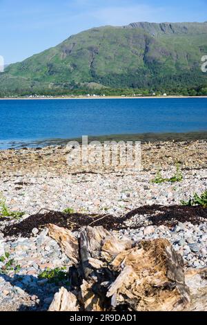 Guardando Loch Linnhe dal campeggio Bunree, Onich, Fort William, Scozia, Regno Unito. Foto Stock