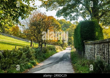 Sulle vette Raymond Boswell Foto Stock