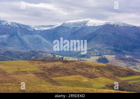 catena montuosa con cime innevate. freddo scenario di novembre della campagna dei carpazi Foto Stock