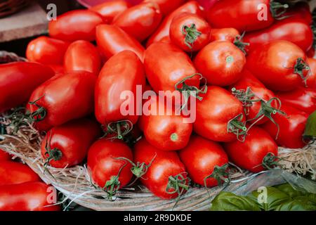 Pomodori prugna venduti su un mercato verde all'aperto Foto Stock
