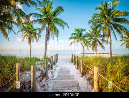 Smathers Beach, Sunrise splendidamente incorniciato da Palm Trees Key West, Florida, USA Foto Stock