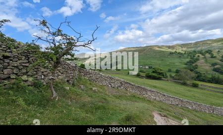 Il paesaggio del Lake District intorno ad Ambleside, Windemere e Grasmere ammirano la falesia cornea e lo snarker Pike sopra scandale Foto Stock