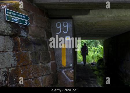 I Malerweg lungo l'Elba. Cartello Caspar-David-Freidrich Weg vicino a Krippen. Il sentiero conduce lungo molte stazioni che il pittore ha registrato negli schizzi e come modello per dipinti successivi. Bad Schandau, Germania Foto Stock