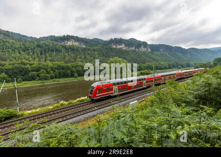 Un treno regionale a due piani rosso corre lungo l'Elbe vicino a Krippen, Bad Schandau, Sassonia, Germania, con le scogliere di arenaria dell'Elbe della Svizzera Sassone visibili sullo sfondo. Foto Stock