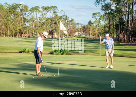 Due uomini più anziani che preparano un putt sul verde, Quail Creek Country Club, Naples, Florida, USA Foto Stock