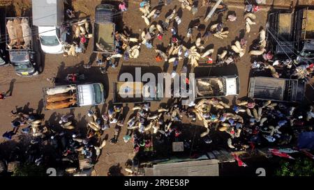 Bogor. 26 giugno 2023. Questa foto aerea scattata il 26 giugno 2023 mostra un mercato del bestiame davanti a Eid al-Adha a Bogor, Giava Occidentale, Indonesia. Crediti: Yorri Farli/Xinhua/Alamy Live News Foto Stock