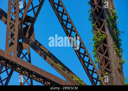 Viste lungo il Towpath Trail, dove i muli vengono utilizzati per trainare barche che trasportano merci e persone su e giù per l'Ohio Erie Canal. Primo piano di sotto Foto Stock