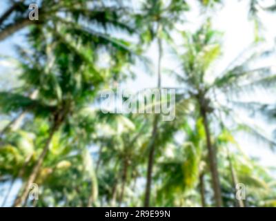 Foglie verdi sfocate di alta giungla di palme tropicali e sfondo del cielo con luce solare. Bokeh verde sfocato astratto con sfondi alti di palme da cocco Foto Stock