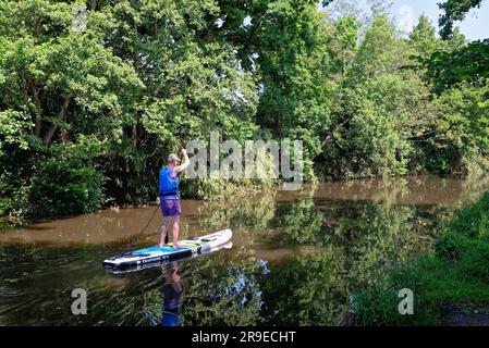 Un uomo di mezza età pagaia sulla navigazione del fiume Wey vicino a Pyrford in una tranquilla giornata estiva soleggiata Surrey Inghilterra Regno Unito Foto Stock